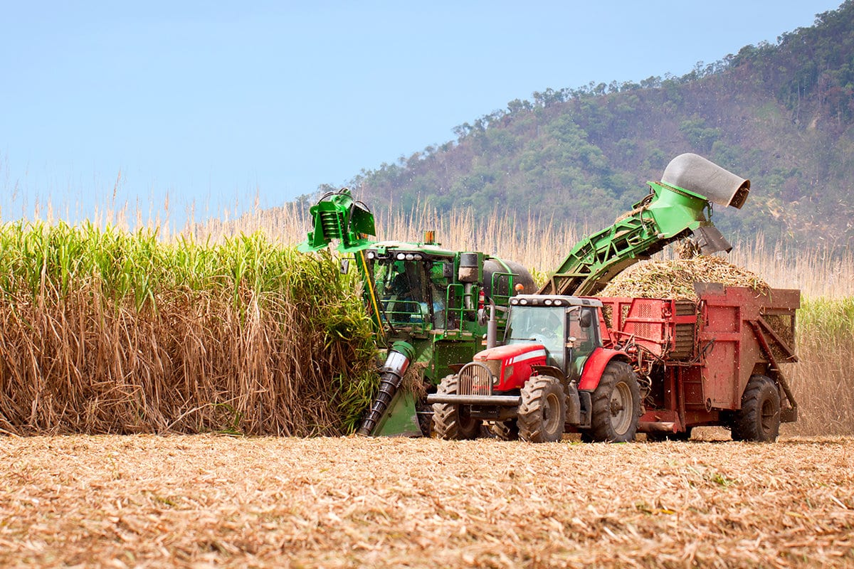 Brazil Sugar Ethanol
