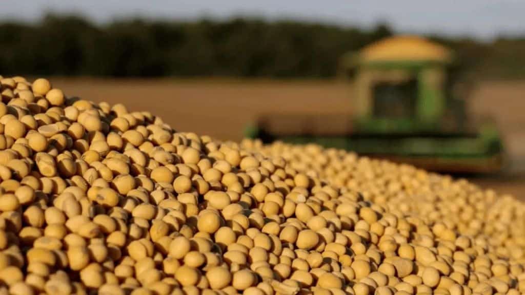 Brazilian Soybeans Harvesting