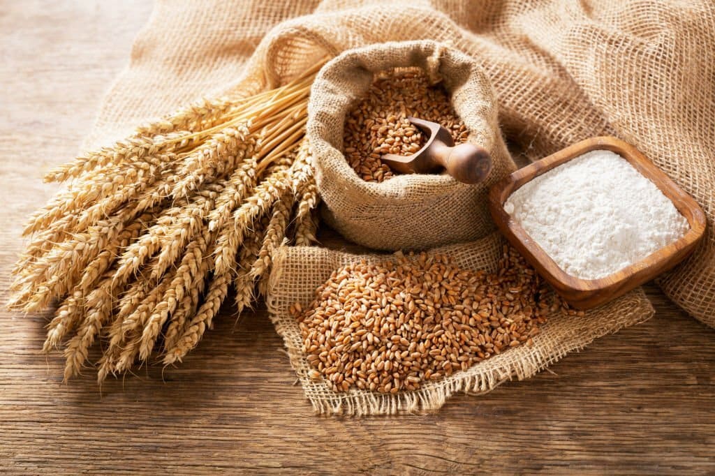 wheat flour